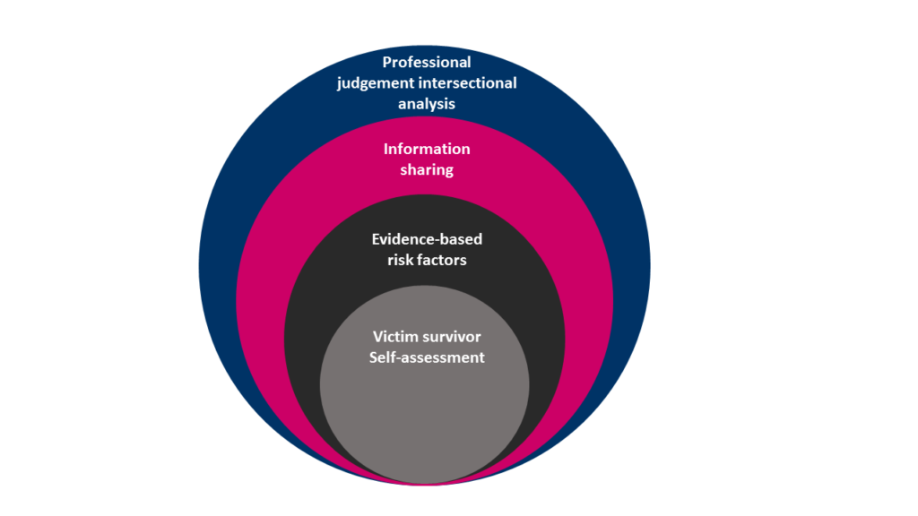 model-of-professiona-structured-judgement