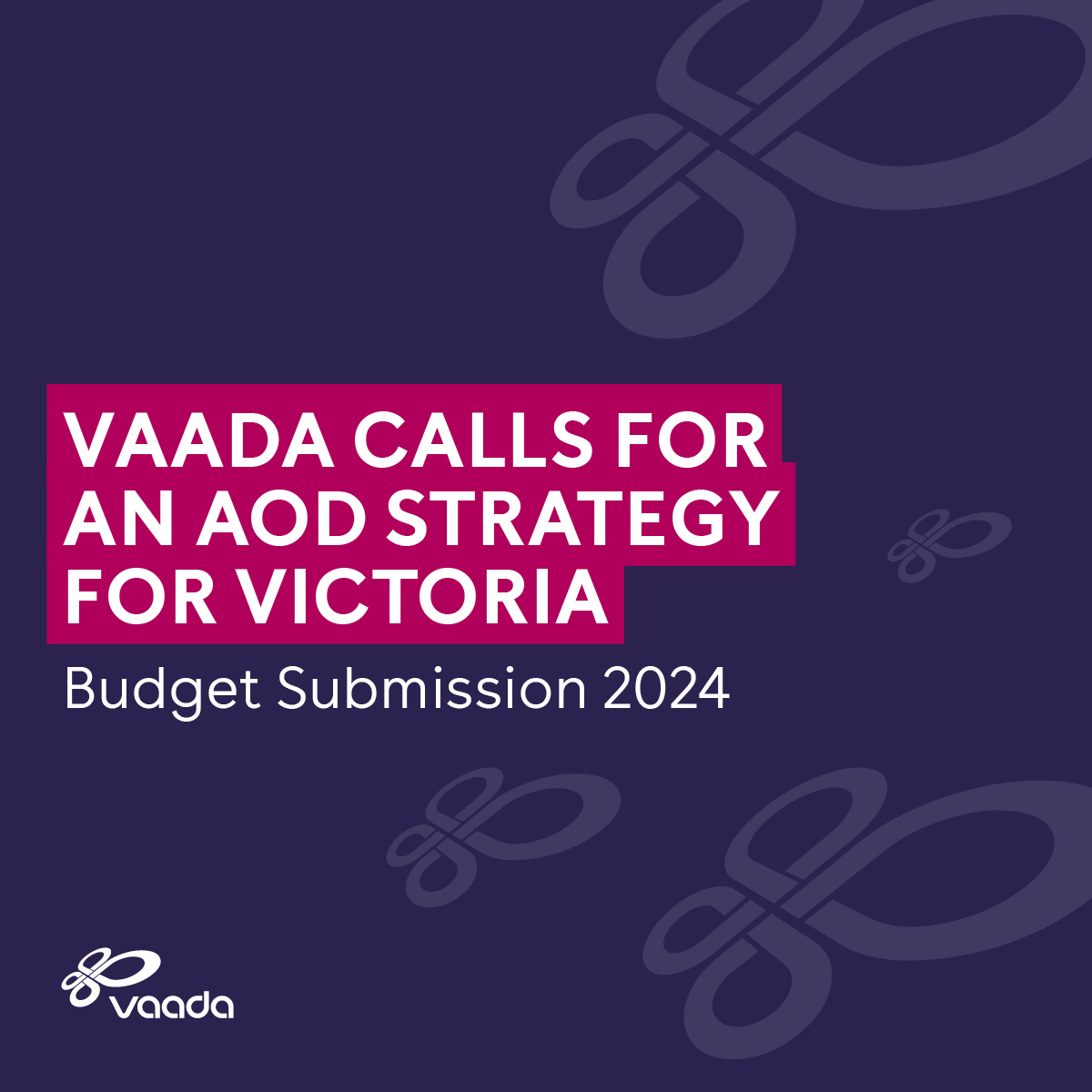 VAADA State Budget Submission 2024 Vaada