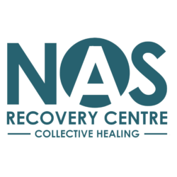 NAS Recovery Centre logo